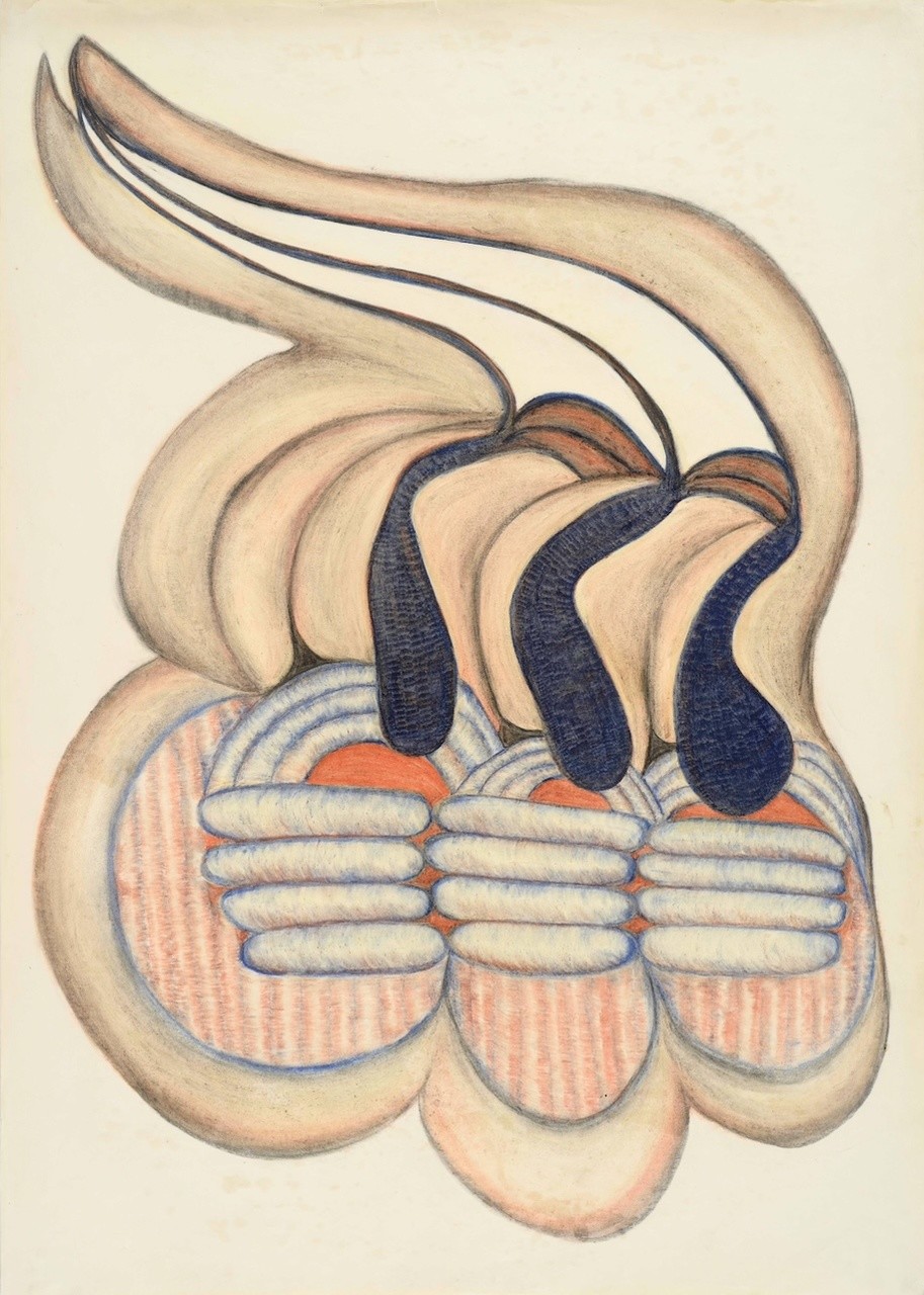 Plody s chutí bramborových šišek: Anna Zemánková